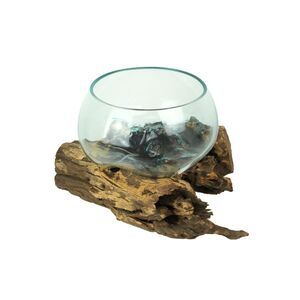 Melted Glass Bowl on Teak Driftwood Base, 8–9" Terrarium Centerpiece Decor